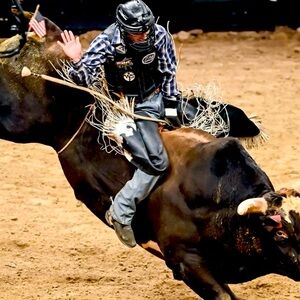 Meet your Posher, Tyler